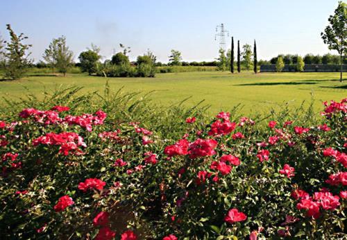 Country House Letizia Verona Exteriör bild