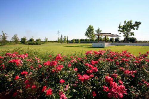 Country House Letizia Verona Exteriör bild